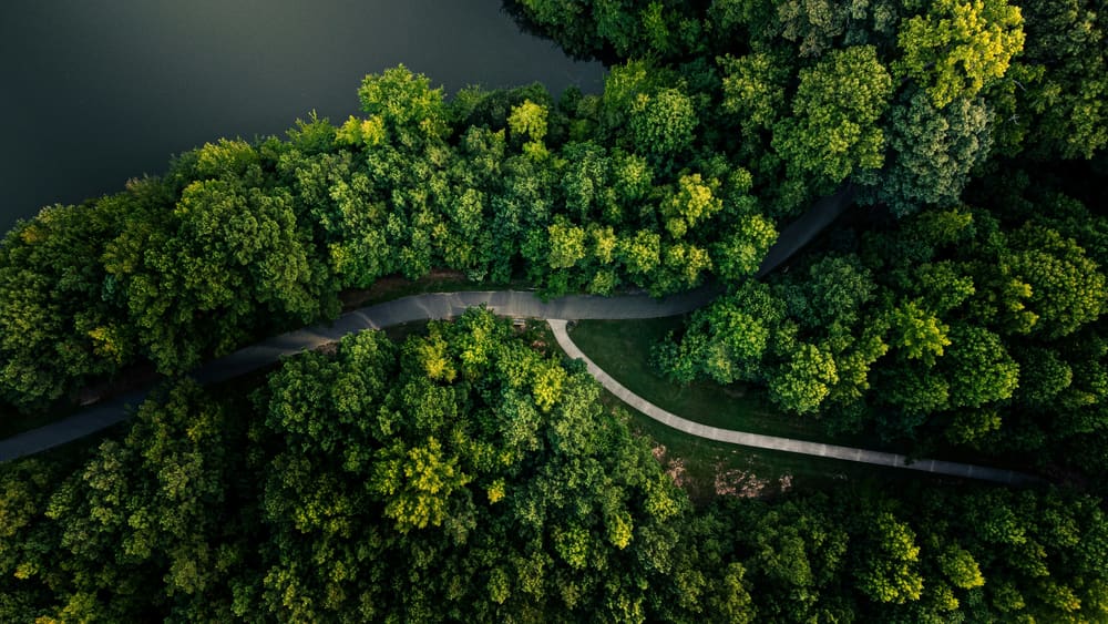 EMDR Therapy: A Path Towards Healing and Resolution