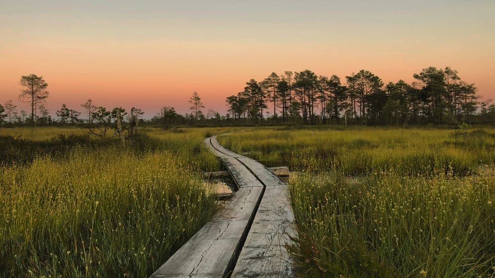 Reimagining Mental Health: A Future of Unity & Access